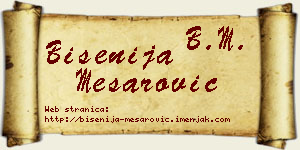 Bisenija Mesarović vizit kartica
